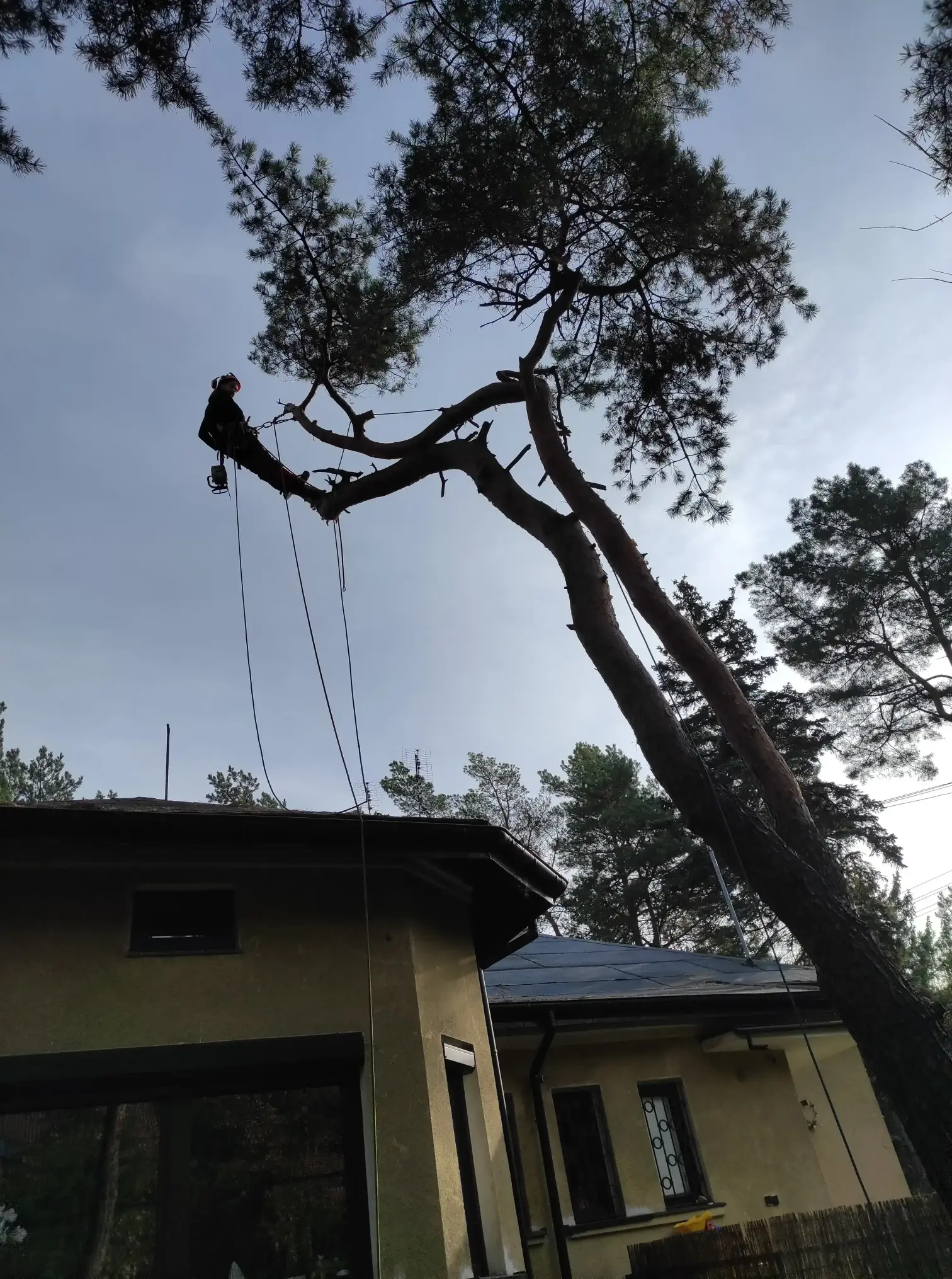 Porównanie realizacji po