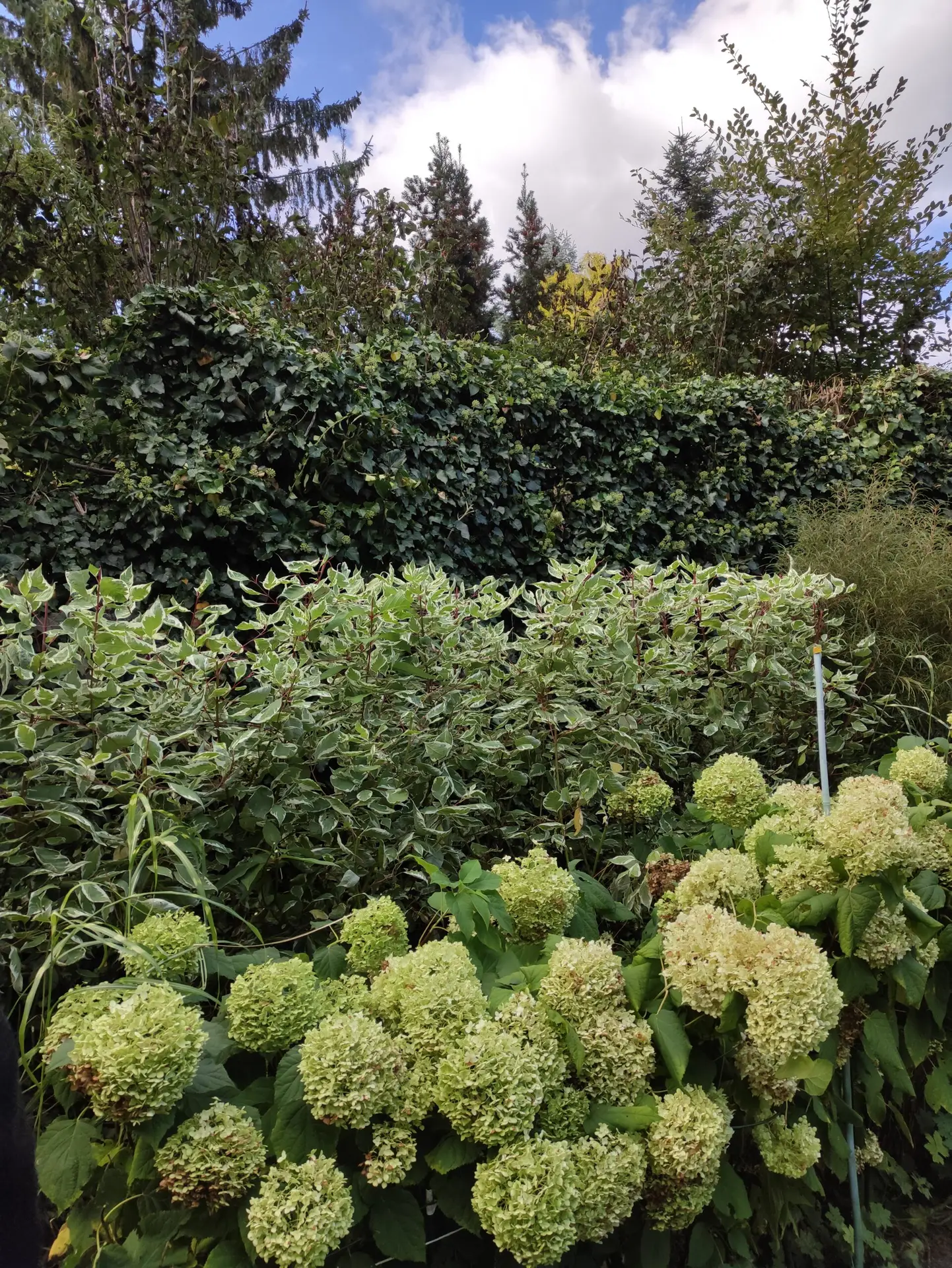 img 20210922 152220