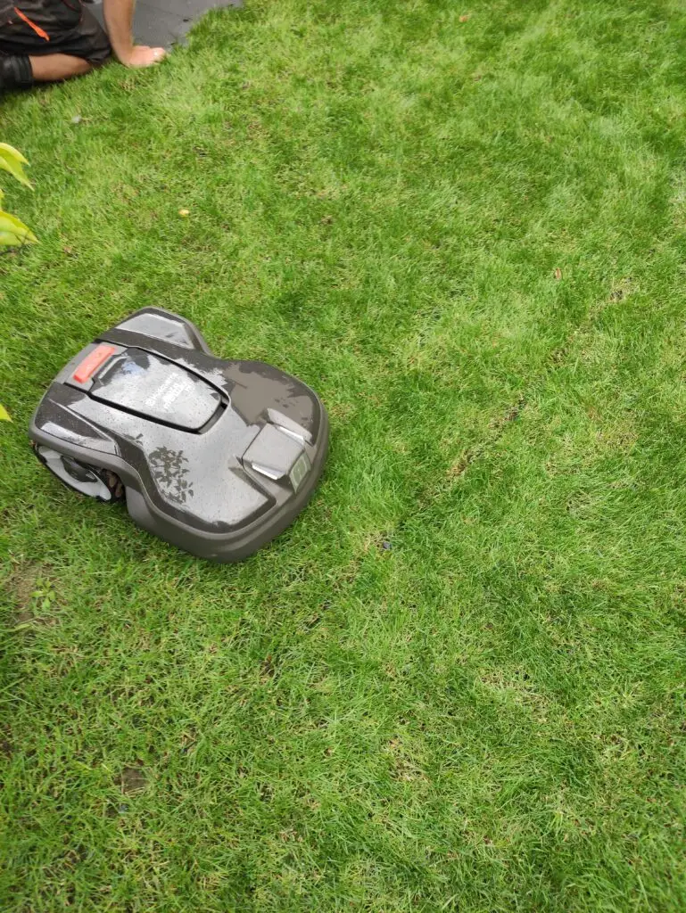 robot koszący 1