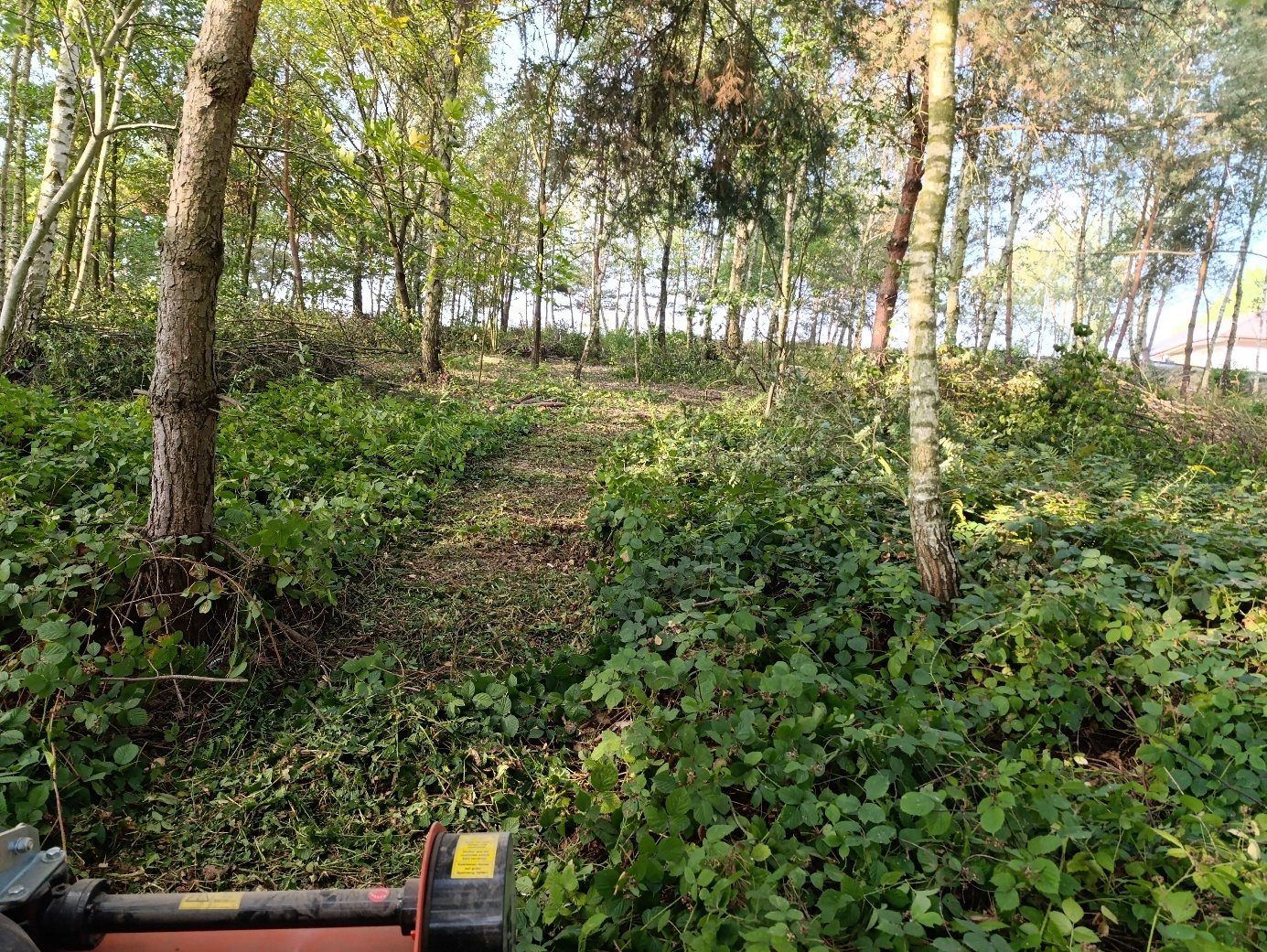 Usługi kosiarką bijakową